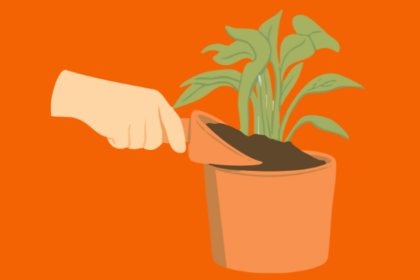 Quelle plante bouturer à l'automne