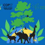 COP17 Biodiversité